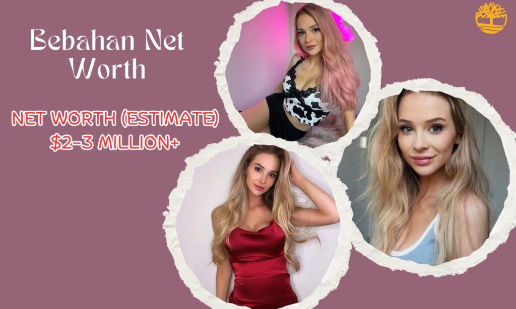 Bebahan Net Worth