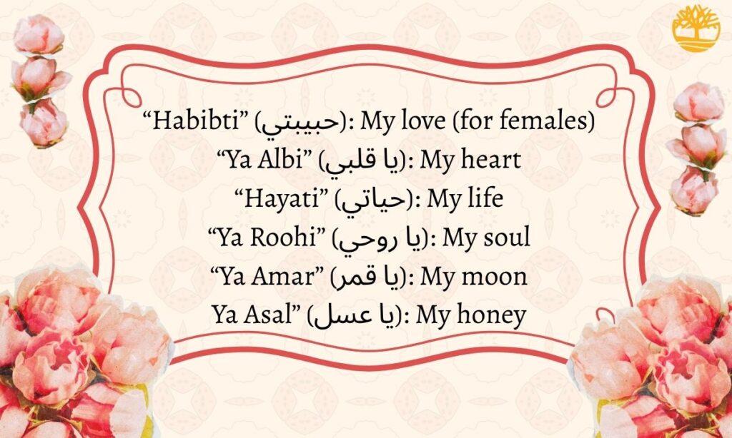 Other Romantic Arabic Words Like “Habibi”