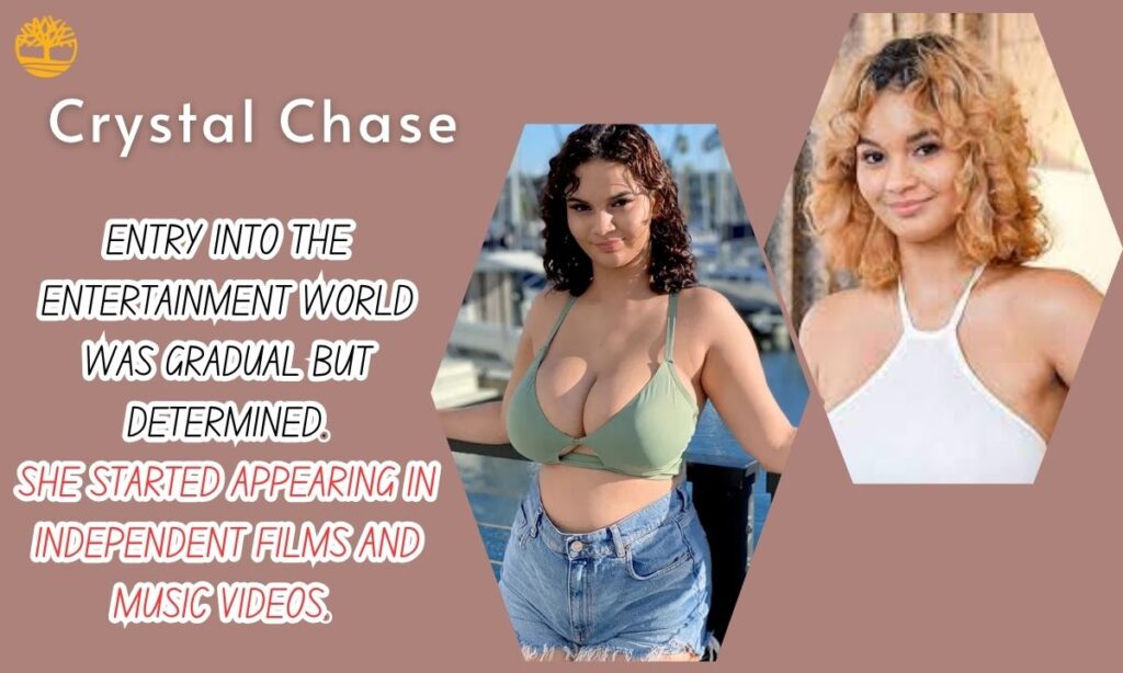 Rise in the Entertainment Industry