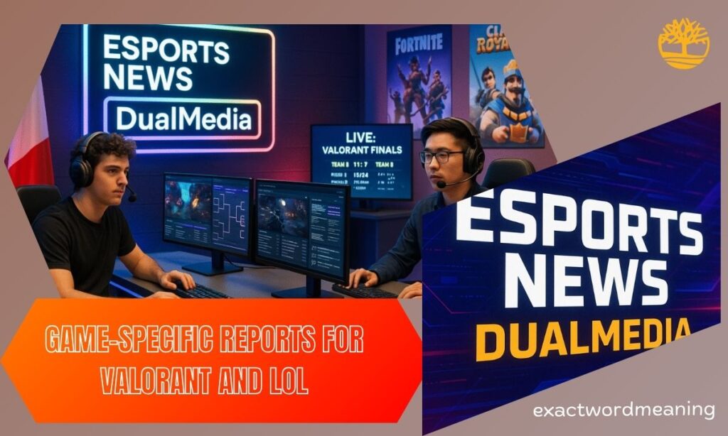 Game-Specific Reports for Valorant and LoL