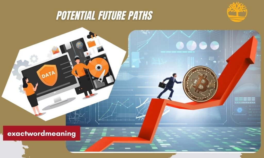 Potential Future Paths