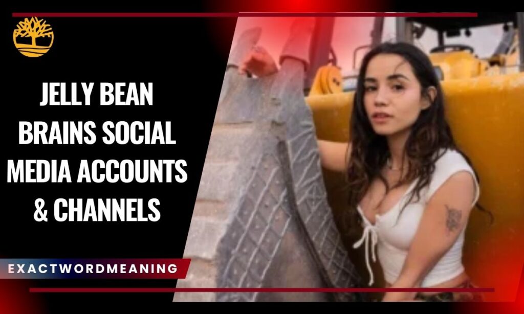 Jelly Bean Brains Social Media Accounts & Channels