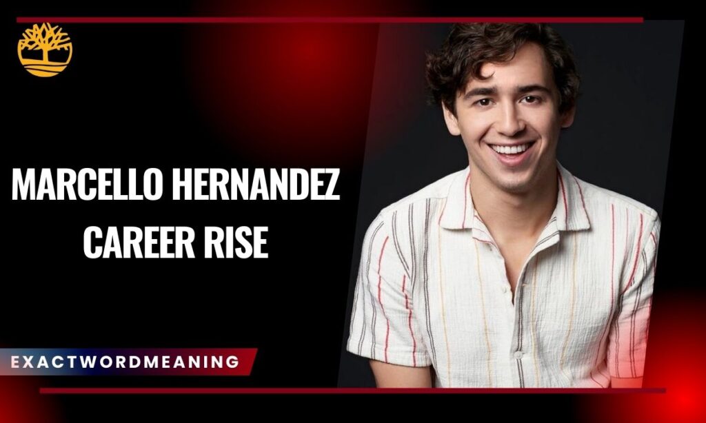 Marcello Hernandez Career Rise
