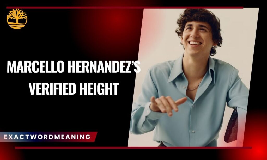Marcello Hernandez’s Verified Height