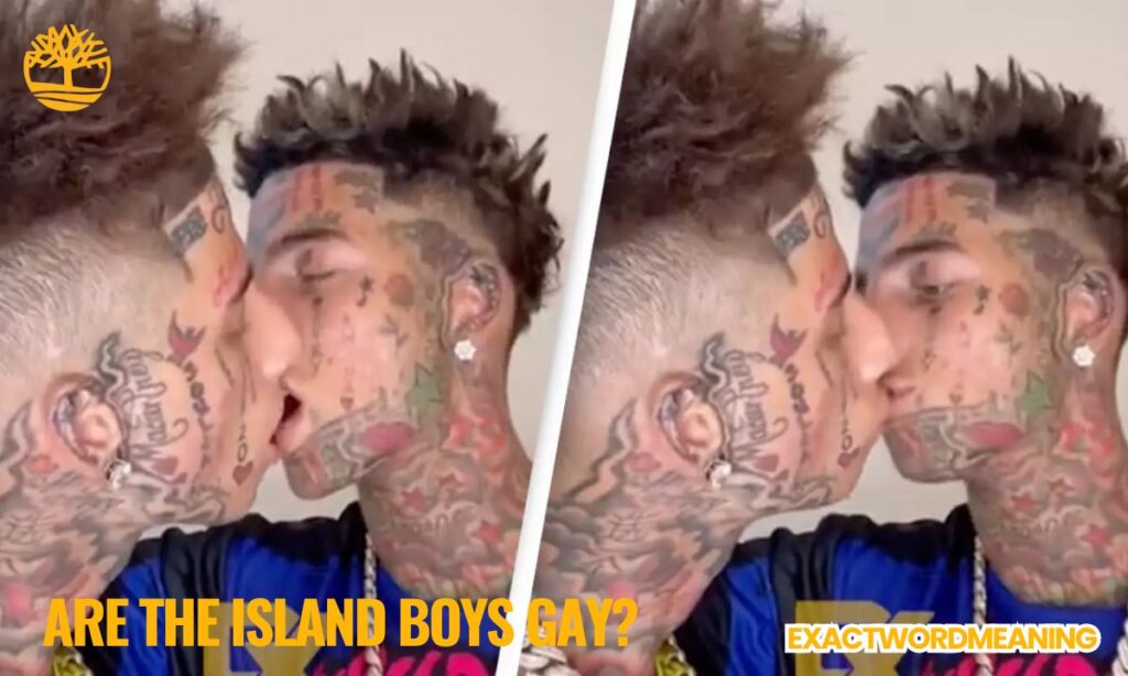 Sexual Orientation Speculations and Clarifications