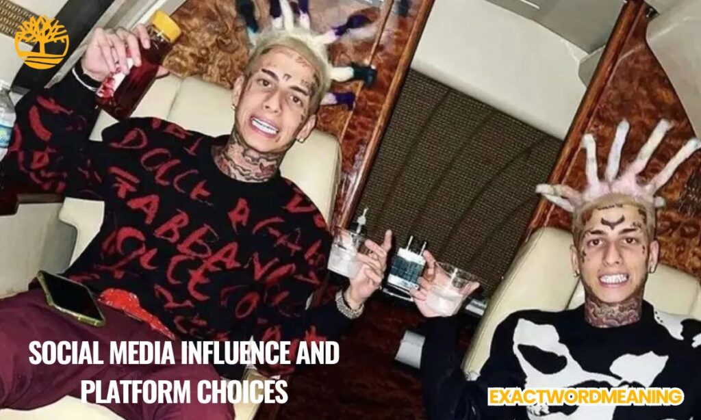 Social Media Influence and Platform Choices