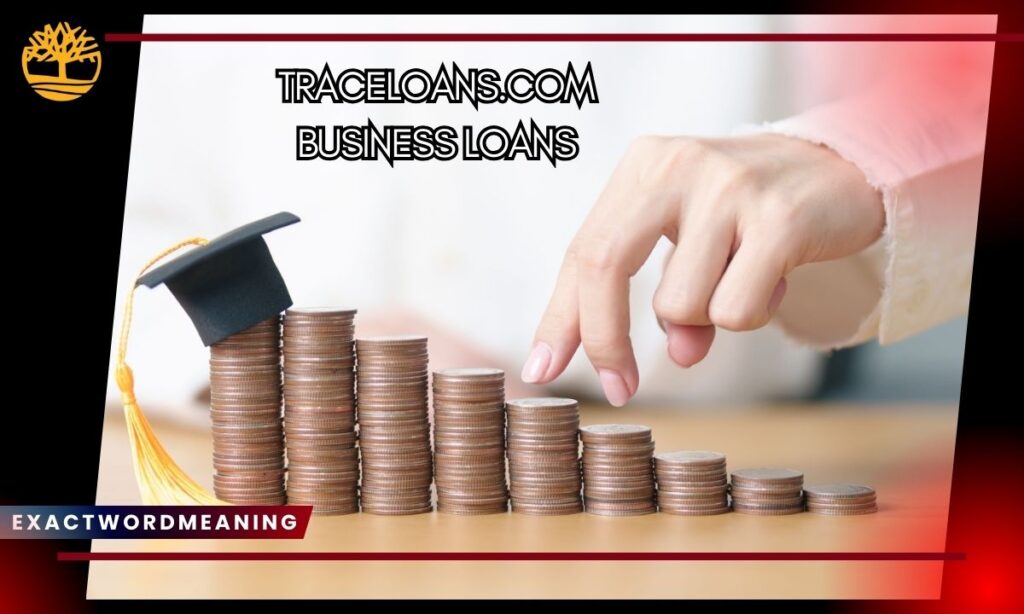 Benefits of Using Traceloans.com for Business Financing