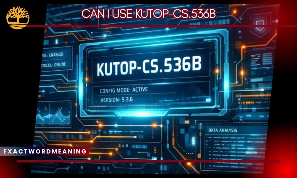 Why People Search for "Can I Use Kutop-CS.536B"