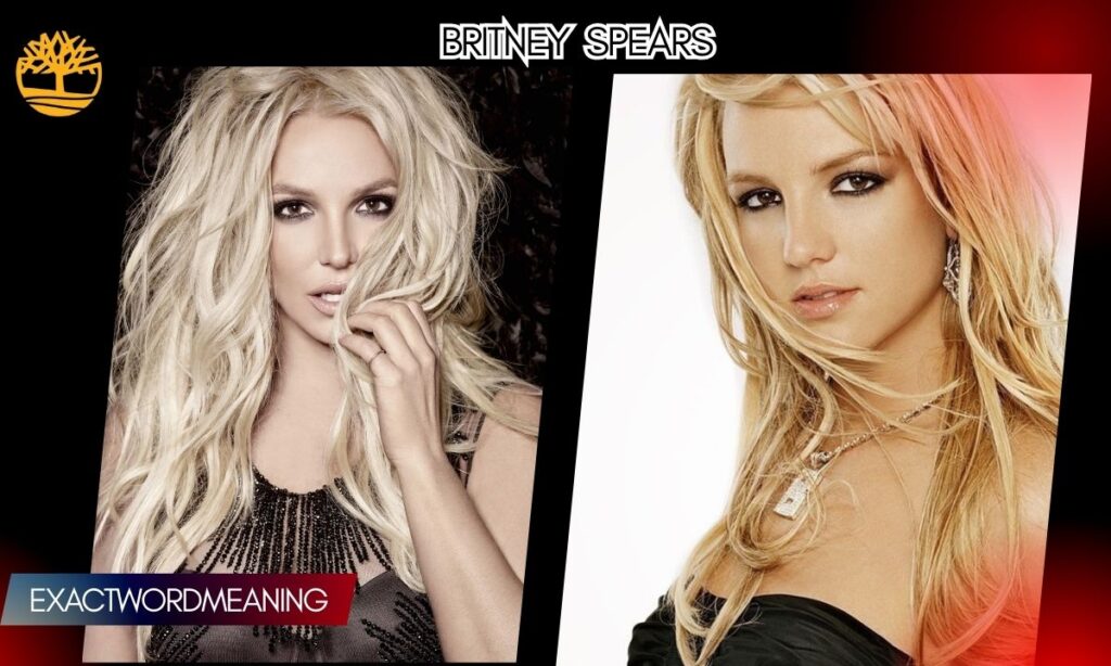 Comparing Britney's Deal to Other Major Catalog Sales