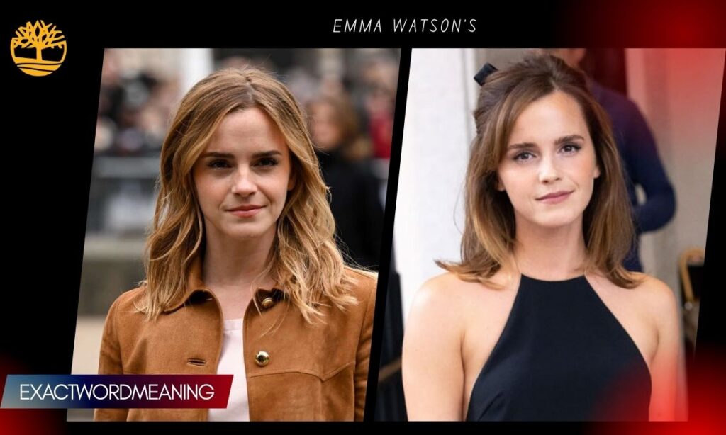 The Belinda Connection and the Viral Diss Track