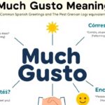 Mucho Gusto Meaning: A Comprehensive Guide to Spanish Greetings and Their English Equivalents