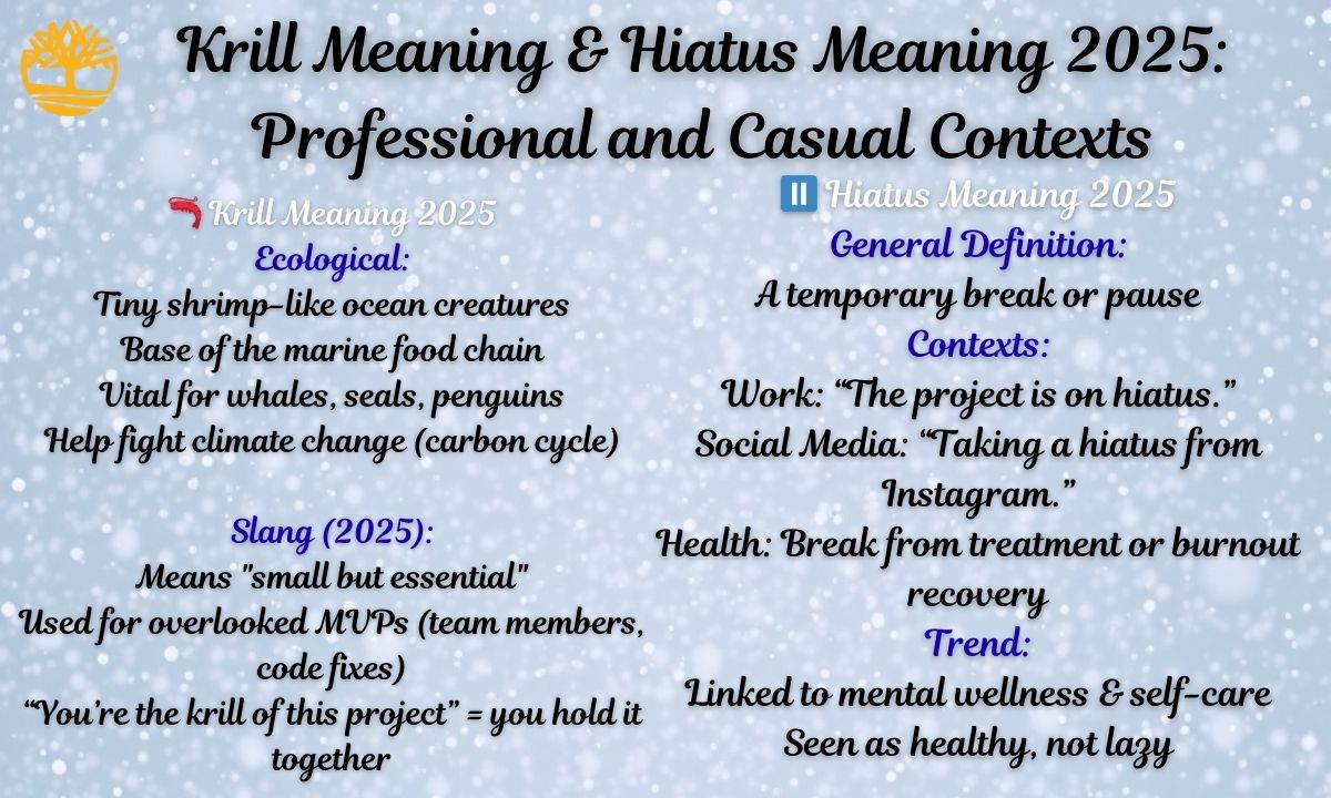Krill Meaning & Hiatus Meaning 2025: Professional and Casual Contexts