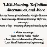LMR Meaning: Definition, Alternatives, and More