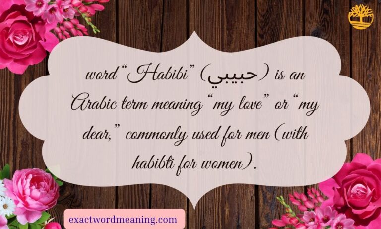 Habibi Meaning: The Beautiful Arabic Term of Love and Affection