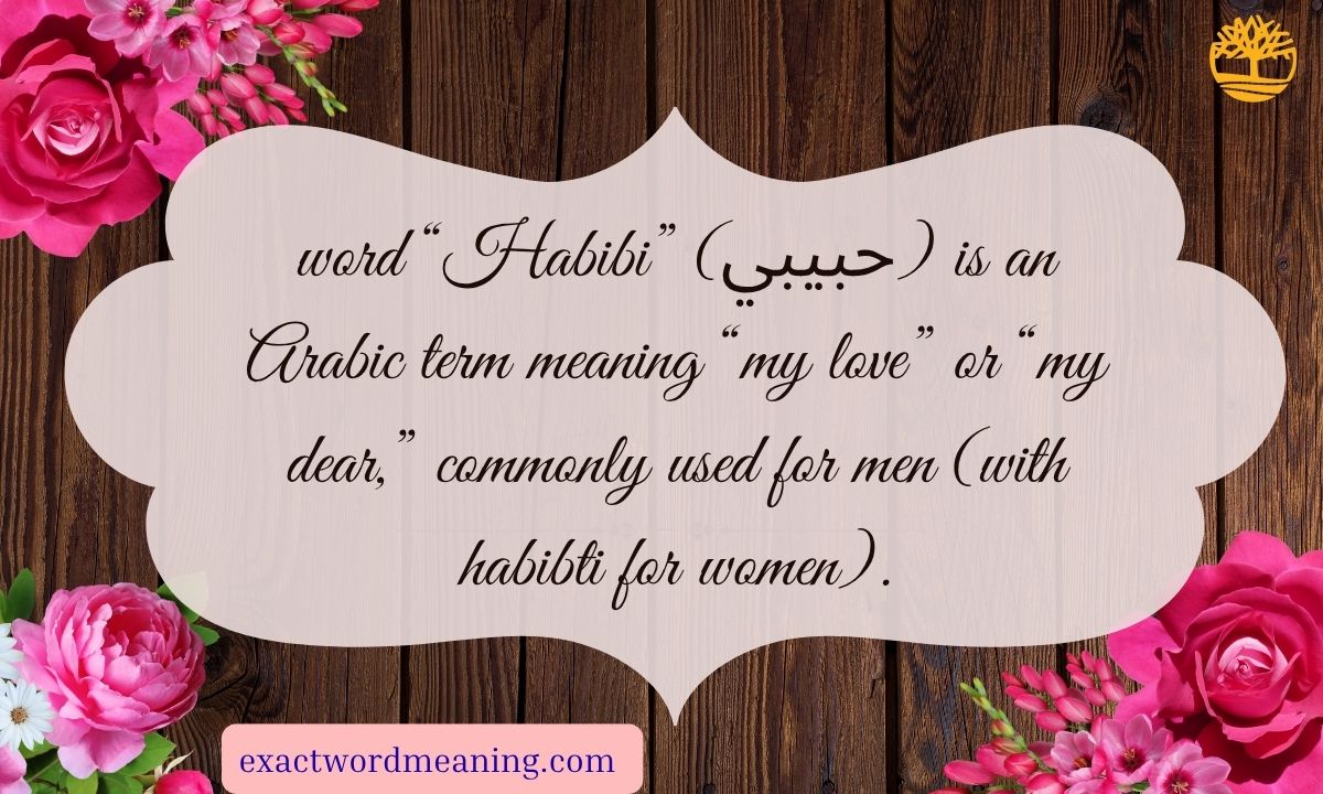 Habibi Meaning: The Beautiful Arabic Term of Love and Affection