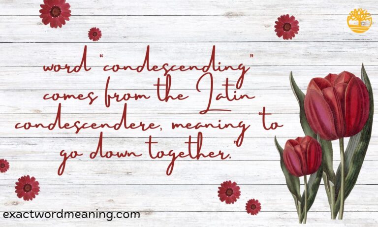 Meaning of “Condescending” — Definition, Origin & Modern Usage