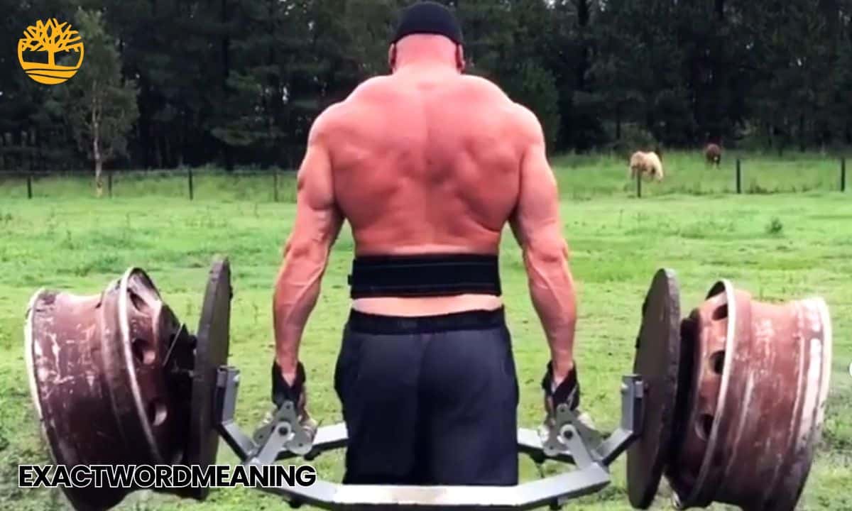 Tom Haviland: The Australian Giant Possibly the Strongest Man Alive