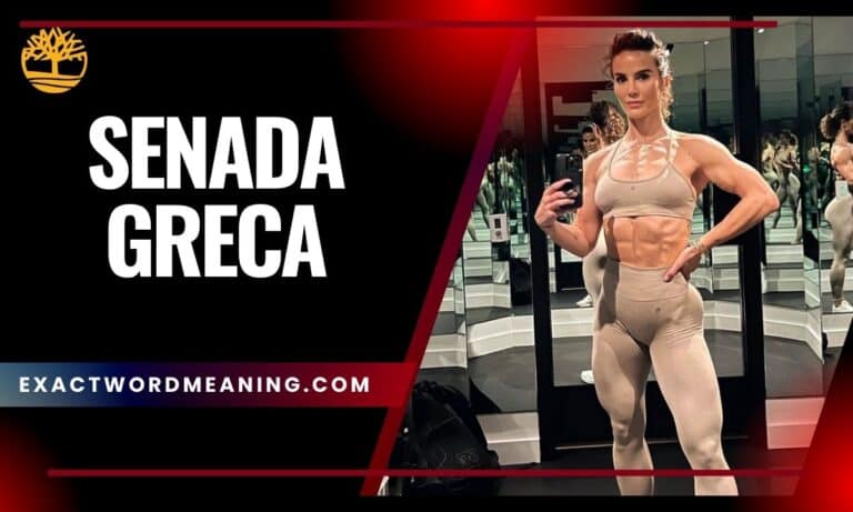 Who Is Senada Greca? Age, Biography, Husband, Net Worth, and Lifestyle