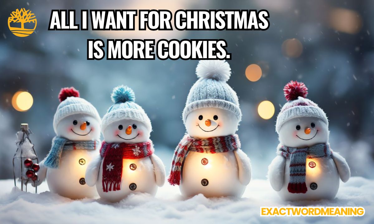 Christmas is Coming Captions for Instagram 2025 – Boost Your Holiday Engagement