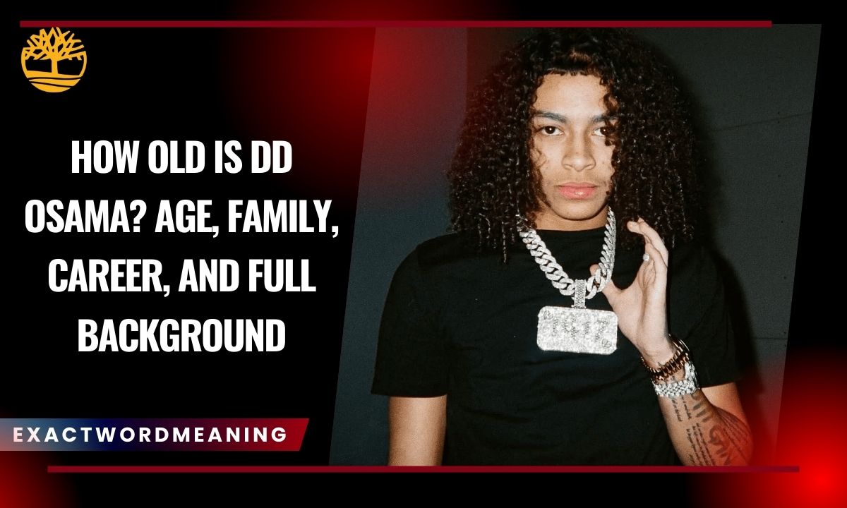 How Old Is DD Osama? Age, Family, Career, and Full Background