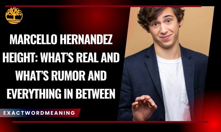 Marcello Hernandez Height: What’s Real and What’s Rumor and Everything in Between
