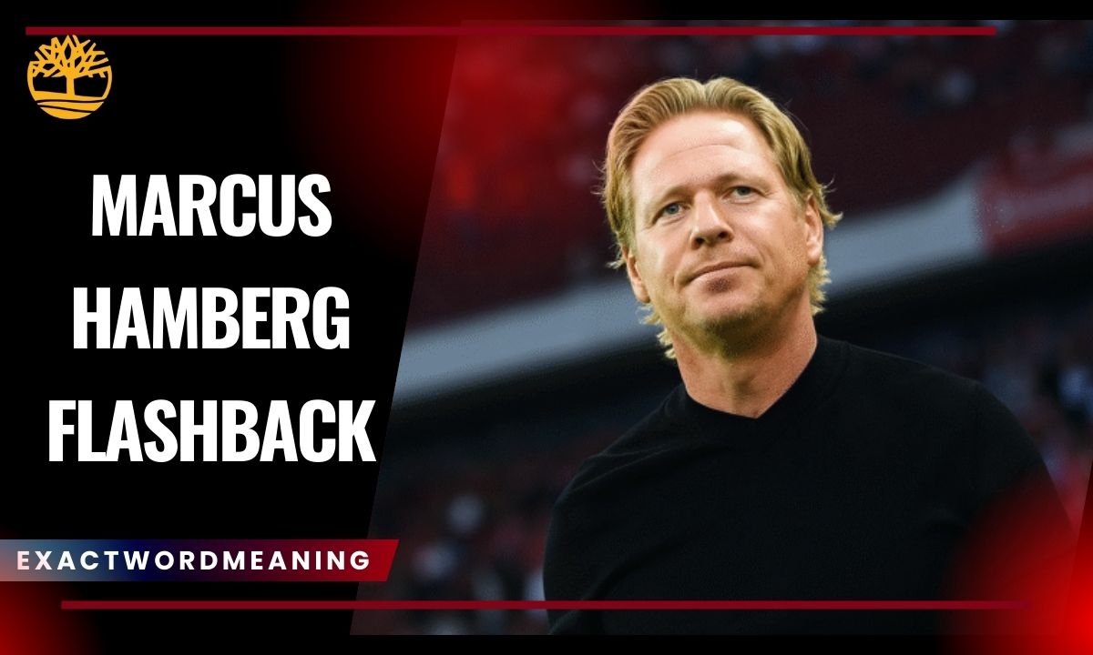 Marcus Hamberg Flashback: The Mystery Behind a Swedish Internet Legend