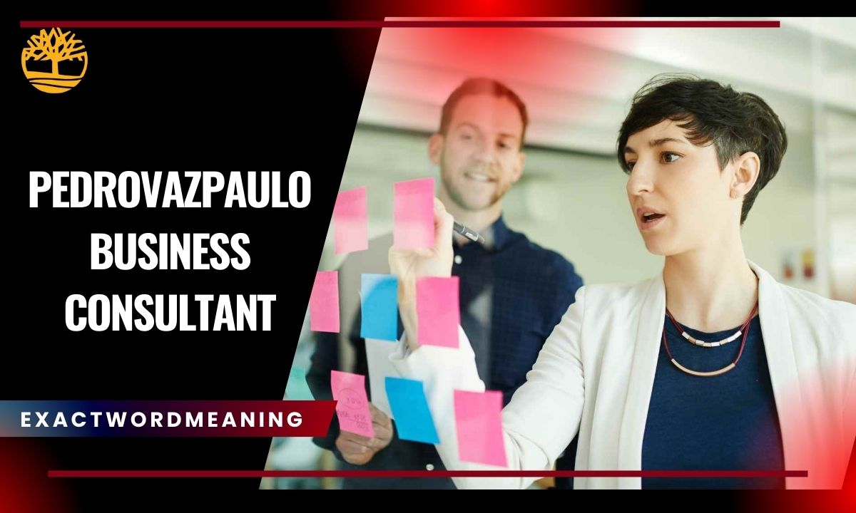 PedrovazPaulo Business Consultant: Transform Your Business Turning Tech Strategy Into Growth