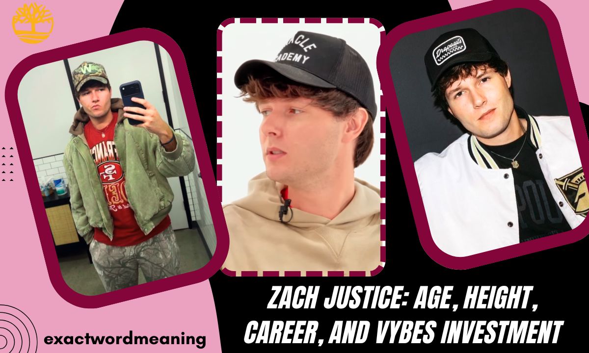 Zach Justice: Age, Height, Career, and Vybes Investment