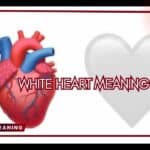 White Heart Meaning: What the 🤍 Emoji Truly Expresses in Digital Life