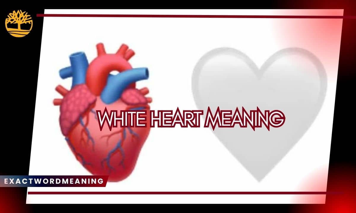 White Heart Meaning: What the 🤍 Emoji Truly Expresses in Digital Life