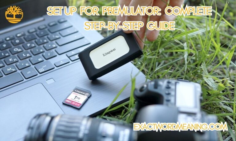 Set Up for PBEmulator: Complete Step-by-Step Guide