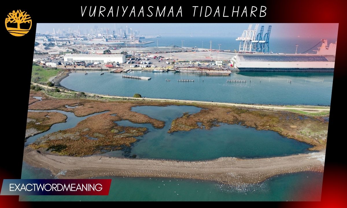 Vuraiyaasmaa Tidalharb: Real System or Online Myth?